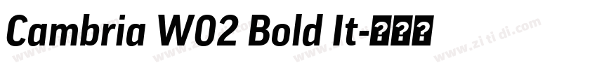 Cambria W02 Bold It字体转换